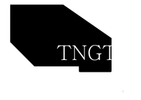 TNGT 기업분석 및 전략 제안-1