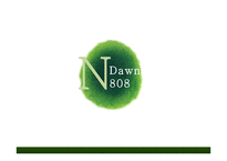 여명 808 프로모션 전략-1