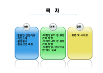 항공사 환 위험 관리 사례-대한항공, 아시아나 항공-2