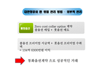 항공사 환 위험 관리 사례-대한항공, 아시아나 항공-13