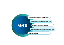 항공사 환 위험 관리 사례-대한항공, 아시아나 항공-20