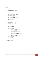 메리츠화재 광고 분석 및 전략 제안-2