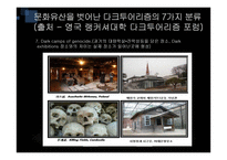 [관광학] 다크투어리즘 사례 연구-18