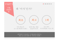 미샤의 마케팅 전략 문제점과 개선방안-4
