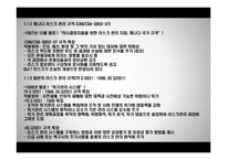 리스크 평가시스템 구축 및 적용 용역 연구 사업-5