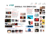 딴지일보의 경영전략 및 저널리즘적 의의 고찰-14