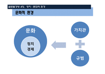 글로벌 경영 정치, 문화적 환경-14
