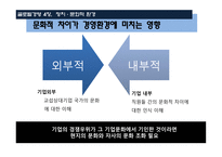 글로벌 경영 정치, 문화적 환경-17