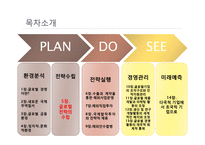 5장 글로벌 전략의 수립-3