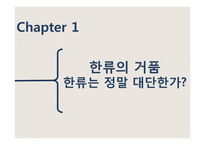 한류 파급효과의 장단점과 발전방향-4