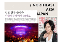 한류 파급효과의 장단점과 발전방향-10