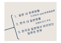 한류 파급효과의 장단점과 발전방향-13