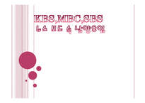 KBS,MBC,SBS 뉴스의 남양유업 보도 분석-1