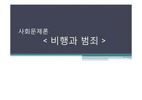 비행 및 범죄의 유형 및 현황과 관련정책 연구-1