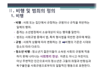 비행 및 범죄의 유형 및 현황과 관련정책 연구-5