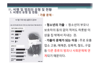 비행 및 범죄의 유형 및 현황과 관련정책 연구-9