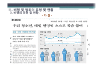비행 및 범죄의 유형 및 현황과 관련정책 연구-13