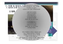 비행 및 범죄의 유형 및 현황과 관련정책 연구-19