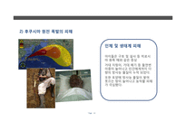 원전의 안전성 문제 고찰-후쿠시마 원전사고 중심으로-13