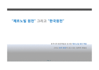 원전의 안전성 문제 고찰-후쿠시마 원전사고 중심으로-16