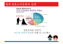 우리나라의 결혼소비문화 실태 연구-11