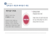 줄기세포 연구와 관련 쟁점 고찰-6