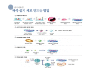 줄기세포 연구와 관련 쟁점 고찰-8