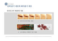 줄기세포 연구와 관련 쟁점 고찰-10