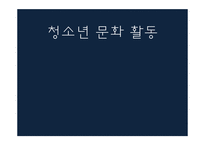 청소년 문화 활동 현황 및 프로그램 조사-1