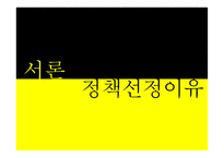 사회복지정책-장애인연금제도 분석-3