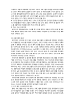 (A+ 레포트,시험대비) [유아교육개론] 헤드스타트의 이해-4