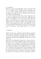 락앤락 성공비결/ 락앤락 마케팅 4P,STP,SWOT분석/ 락앤락 중국진출 마케팅사례분석과 향후시사점연구-7