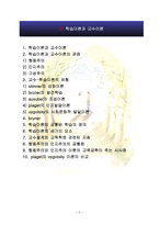 학습이론과 교수이론-2