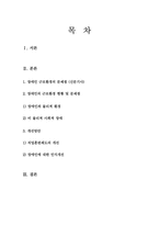 [사회복지] 장애인 근로환경의 문제점과 개선방안-2