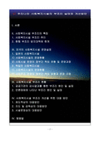 우리나라 사회복지시설의 부조리실태와 개선방안-2