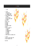 청소년과성문제실태와대책-2