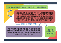 지역사회복지론 사회복지협의회-13