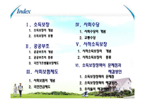 [사회복지] 노인소득보장-2