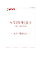 한국광물자원공사 자소서+면접, 한국광물자원공사 청년인턴 자기소개서-1