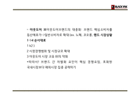 블랙야크 기업분석과 SWOT분석및 블랙야크 마케팅전략분석과 블랙야크 프로모션 전략제언 PPT-9