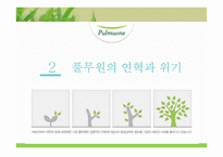 풀무원의 브랜드 전략 제안-15