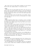 [국제경영] 해외 인력 파견 업체, 해외 취업 중개 서비스의 구조와 과정-4