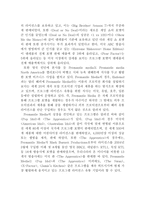 포맷 비즈니스의 성공사례와 발전방안-4