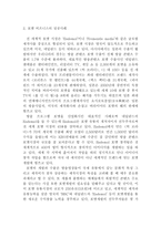 포맷 비즈니스의 성공사례와 발전방안-6