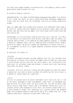 역사속의 세계화와 지역화-동남아시아의 세계화와 문제점 고찰-13