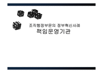 [정부혁신] 책임운영기관 현황과 문제점 및 개선방안-1