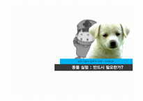 동물실험의 필요성에 대한 토론-1