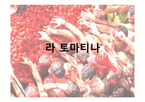 외국축제 현황 및 우리나라 축제의 현황과 발전방향-17