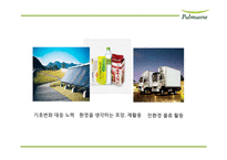 풀무원 기업분석과 풀무원 마케팅,경영전략 사례분석및 풀무원 미래전략제언 PPT-18