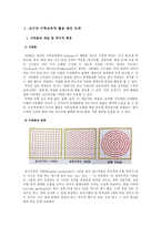 초등수학용 구체적 조작물의 활용 모색-기하판(Geoboard)-3